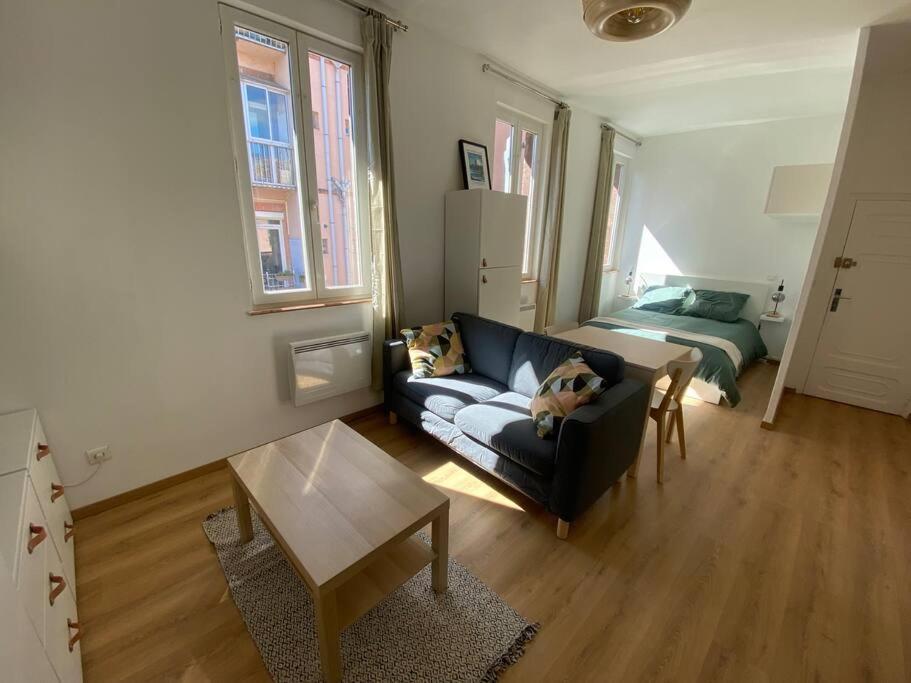 Le Petit Minimes Au Bord Du Canal Du Midi Apartment Toulouse Exterior photo